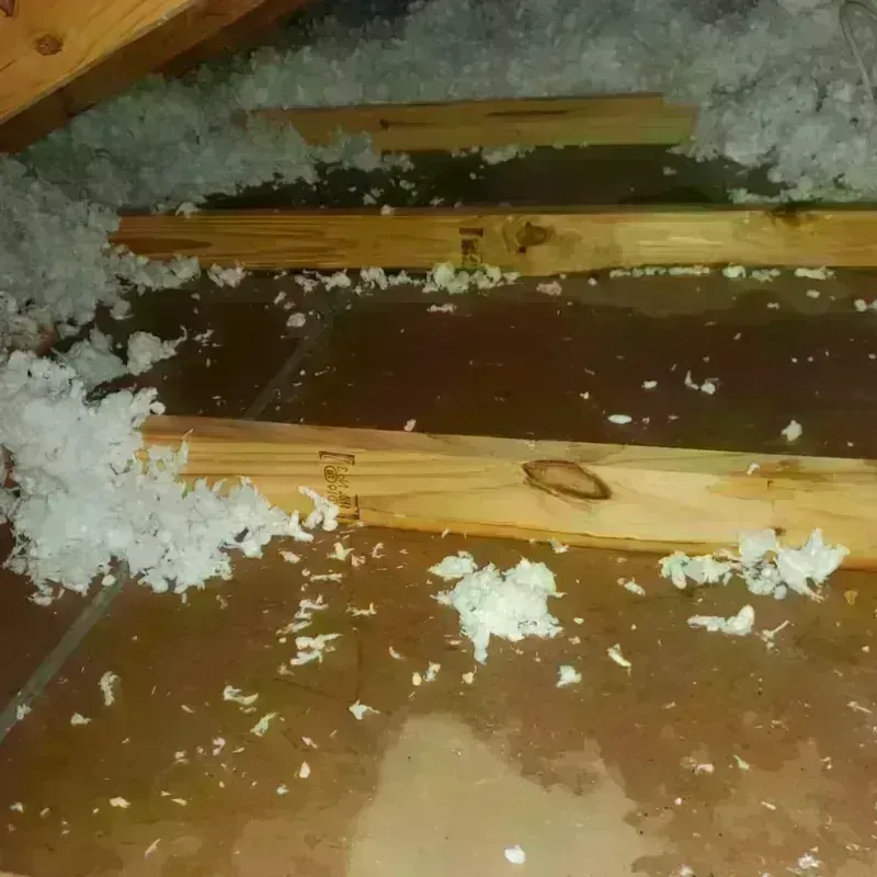 Attic Water Damage in Auburn, NY